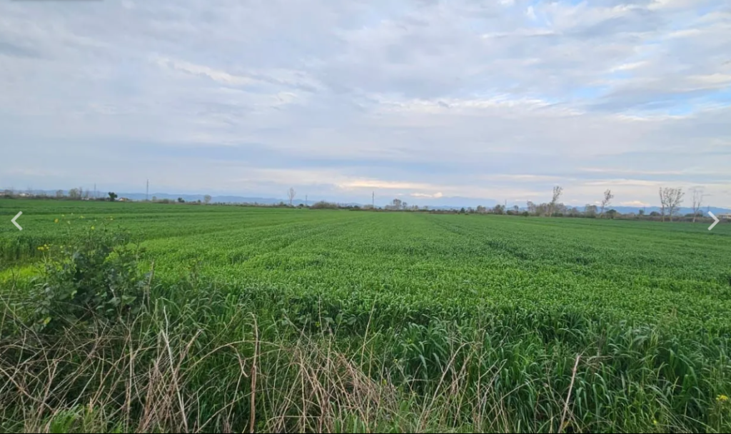 Terreno agricolo in vendita a Fllake