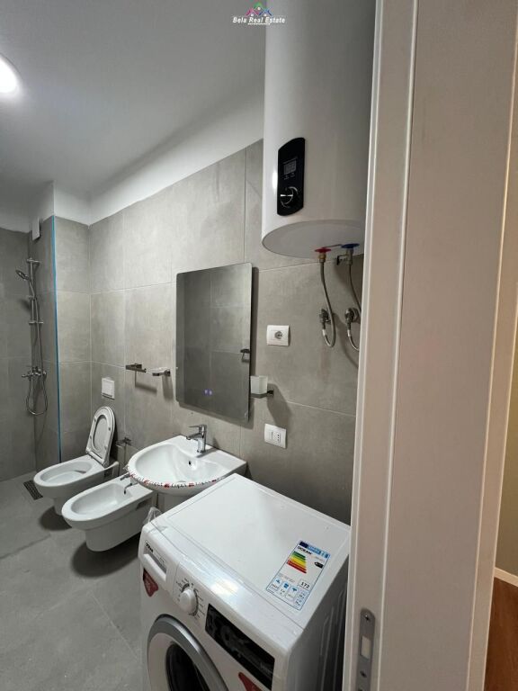 Apartament Me Qera 1+1 Tek Ish Dogana (ID B2101646) Tirane