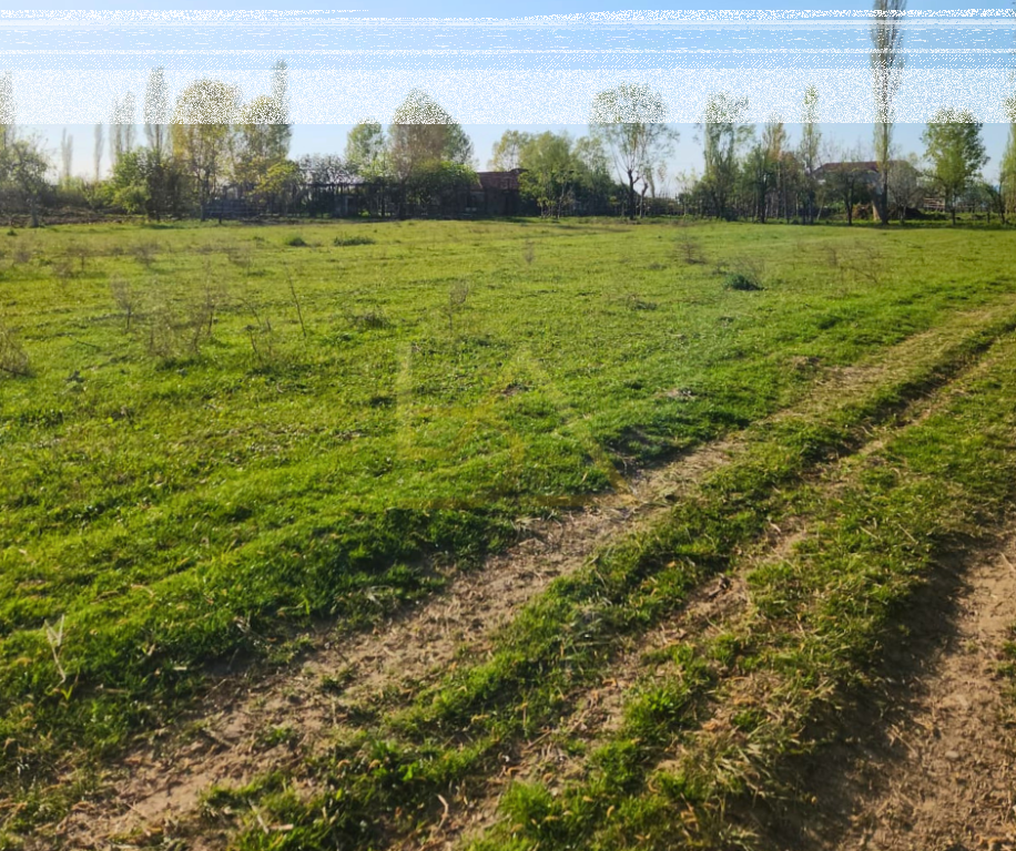 Shitet Tokë – Tale, Lezhë