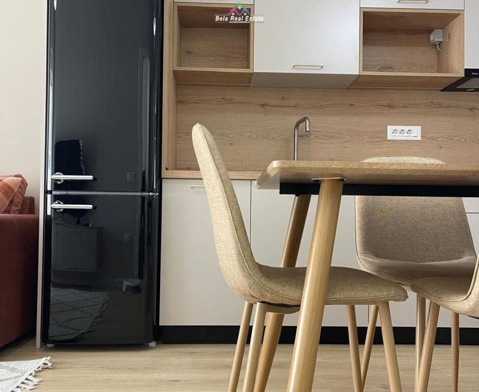 Appartamento In Affitto 1+1 A Ali Dem (ID B2101649) Tirana