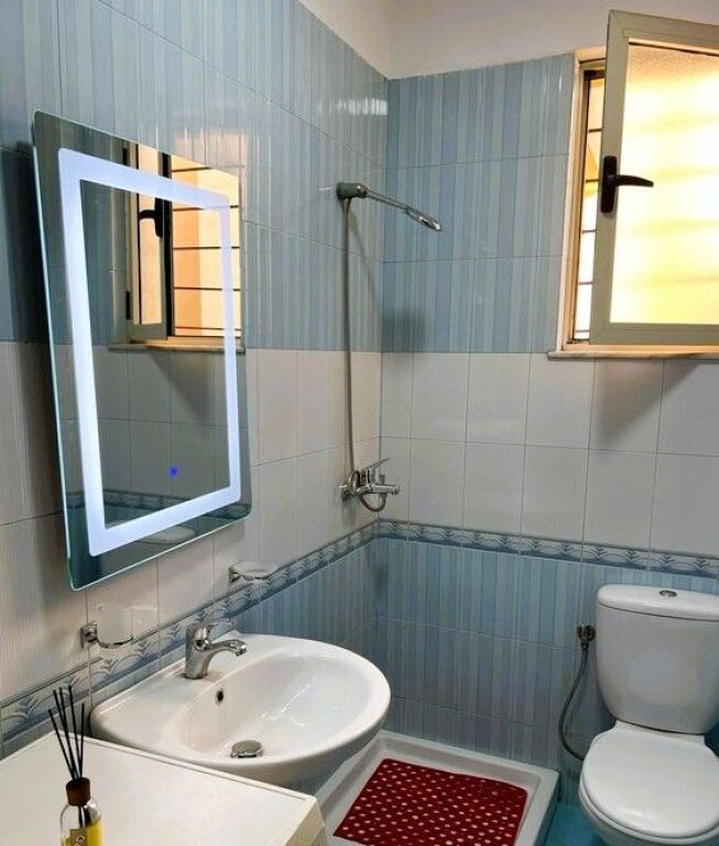 Apartament 1+1 ne rrugen Mine Peza!