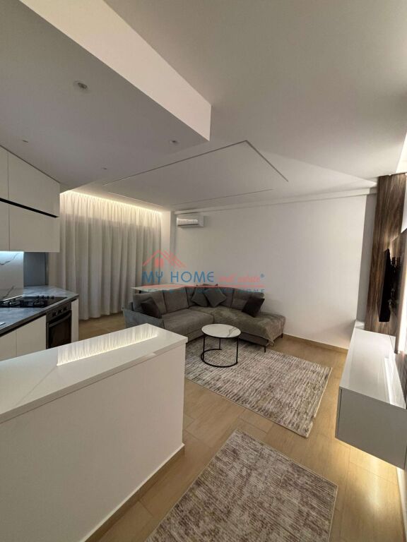 Apartment 1+1 for Rent near the Botanical Garden Tirana