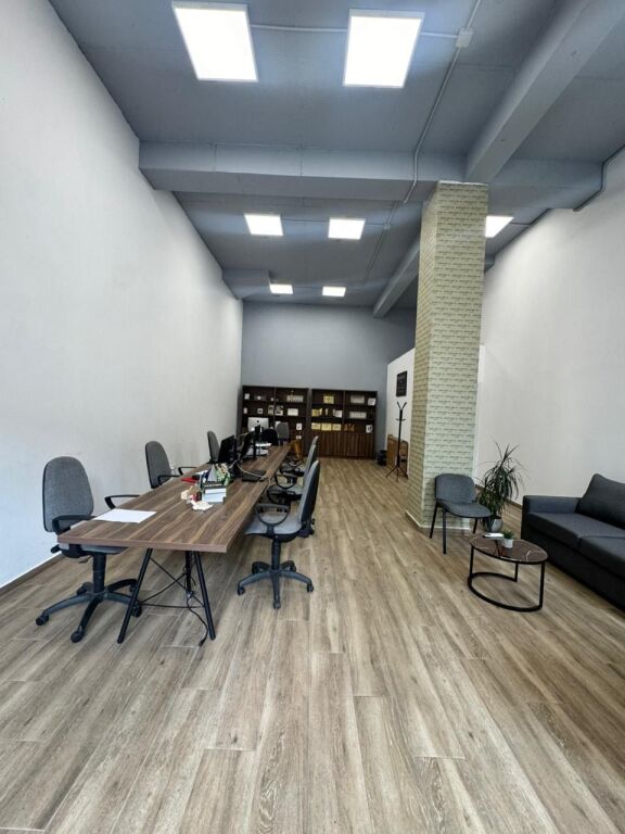Business premises for rent, Frosina Plaku Street