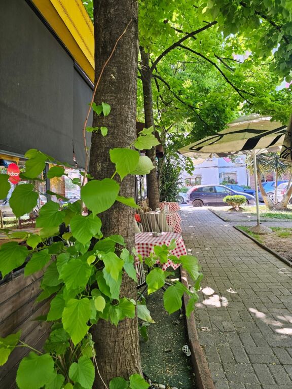 🍕 Business Bar–Pizzeria for sale, ready to work – with existing clientele!🍕