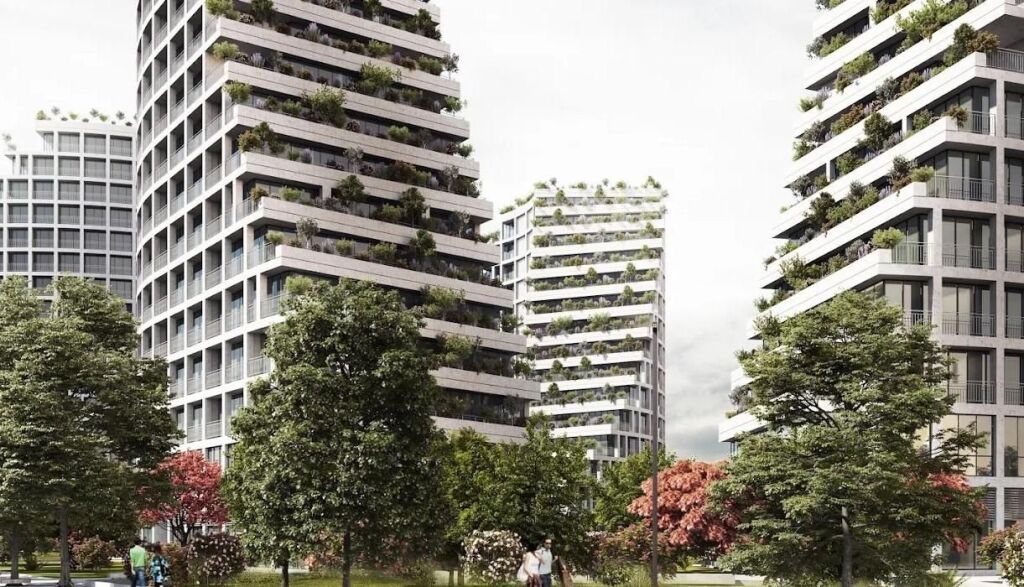 AMBIENT PER ZYRE ME QIRA TE LAKE VIEW