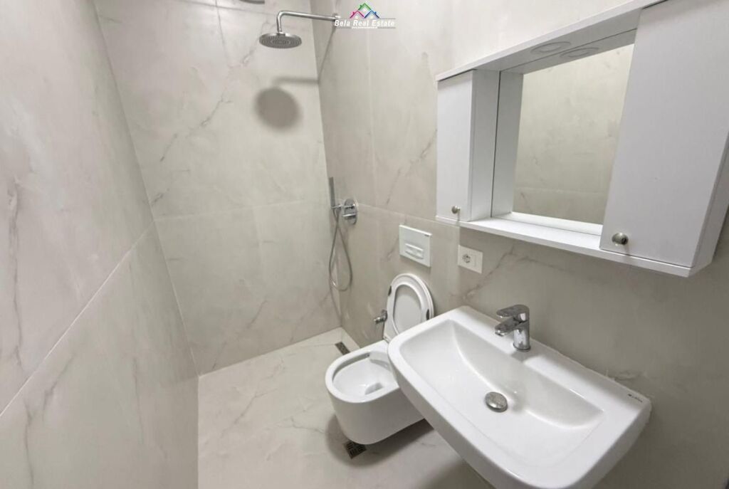 Appartamento In Affitto 1+1 A Ali Dem (ID B2101660) Tirana