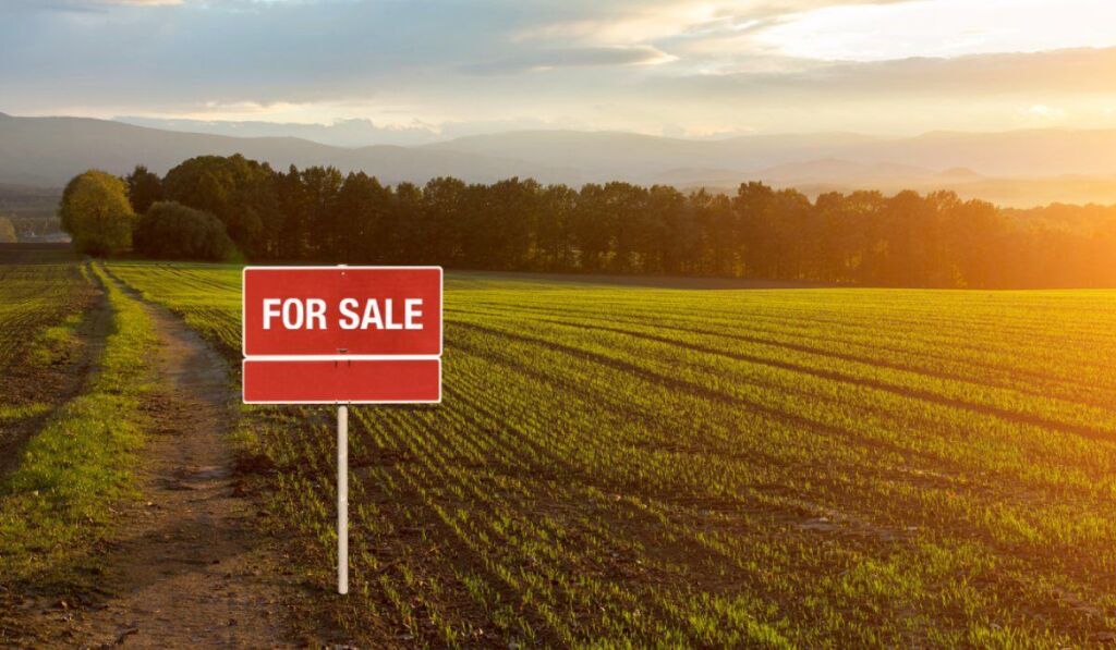 Land for Sale in Mezez / Zalte