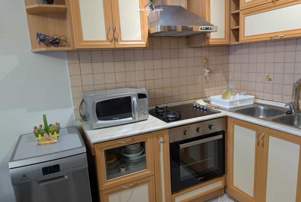 Apartment For Rent 1+1 Near Ballet School (ID B210417) Tirana