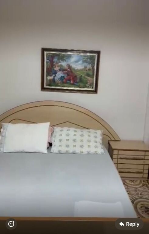 2+1,furnished globe, Kavaja street, 500 thousand lek