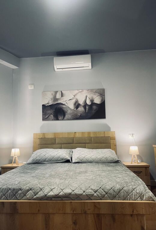 JAPIM APARTMENT 2+1 ME QIRA TE KOPSHTI BOTANIK!