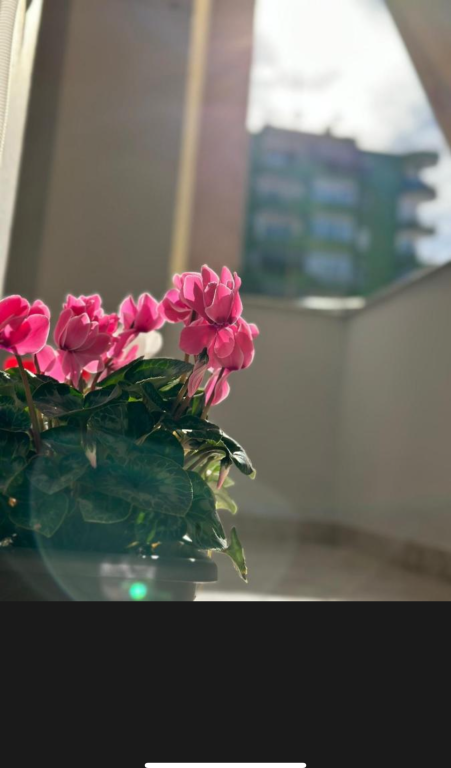 Jepet me qera apartament 2+1+2 ne Bllok