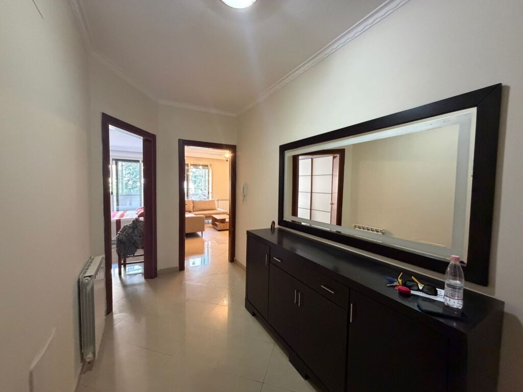 Large 1+1 apartment for rent at Artificial Lake