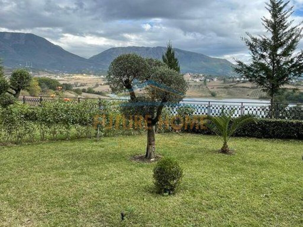 Affitto, Villa, Farke e Vogel, Tirana
