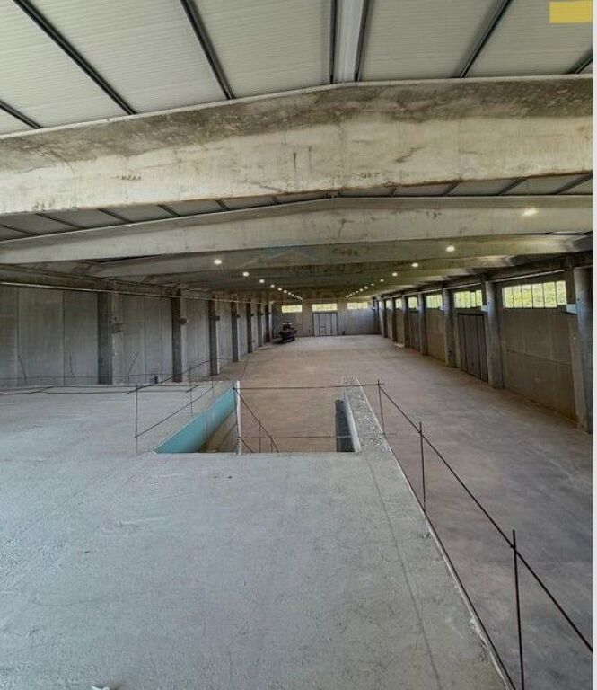 For sale, Warehouse, Vorë–Rinas Highway.