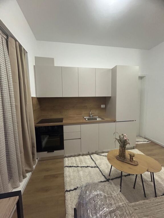 Modern studio apartments for rent – Fresk -  Price: 27,000 lek/month !