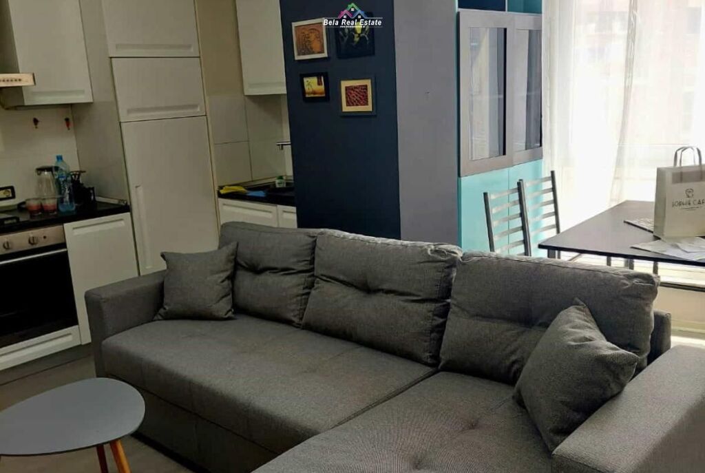 Apartment For Rent 1+1 At Elbasan Street(ID B2101668) Tirana