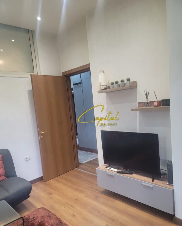 APARTMENT FOR RENT 1+1 CENTER 60,000 LEKE
