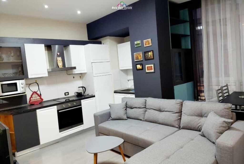 Apartment For Rent 1+1 At Elbasan Street(ID B2101668) Tirana