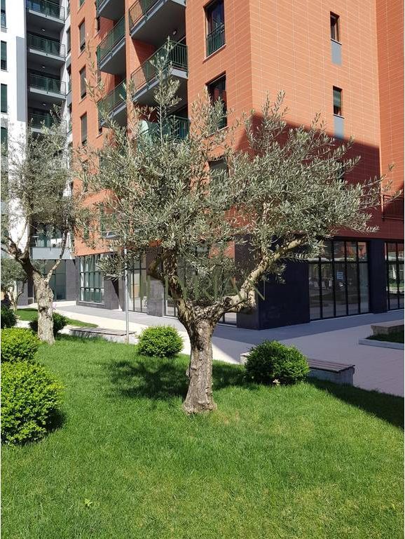 Shitet ambient komercial në Green City – Tiranë