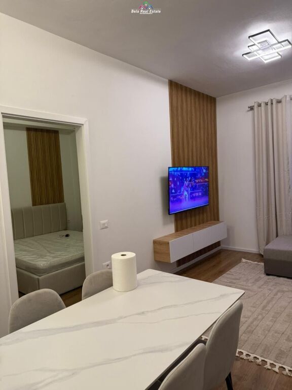 Appartamento In Affitto 1+1 A Ali Dem (ID B2101673) Tirana