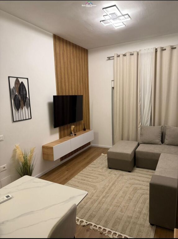 Appartamento In Affitto 1+1 A Ali Dem (ID B2101673) Tirana