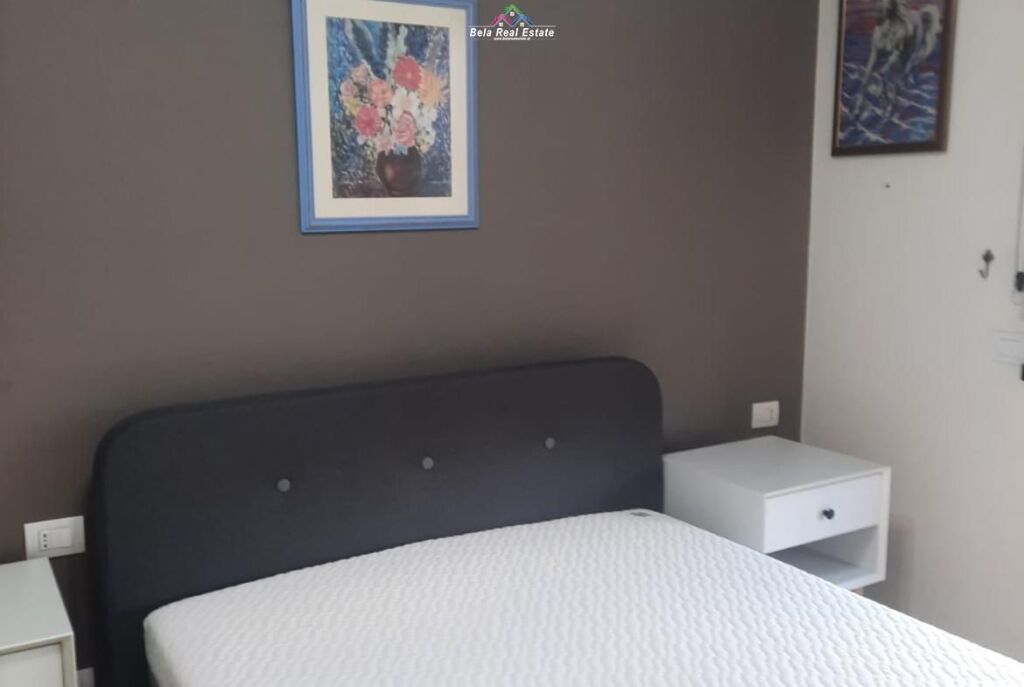 Appartamento In Affitto 1+1 In Via Barricade (ID B2101671) Tirana
