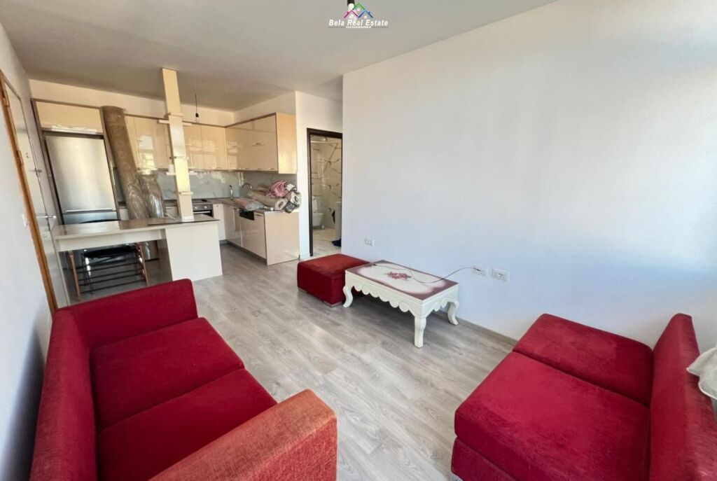 Appartamento In Affitto 1+1 A Vasil Shanto (ID B2101675) Tirana