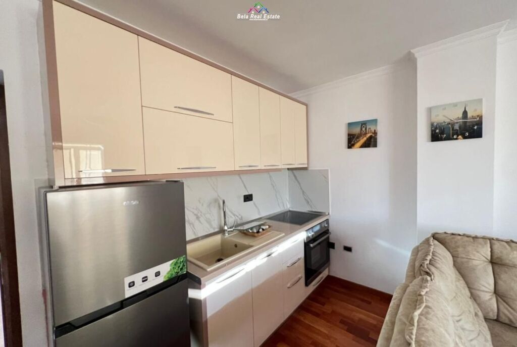 Appartamento In Affitto 1+1 A Vasil Shanto (ID B2101677) Tirana