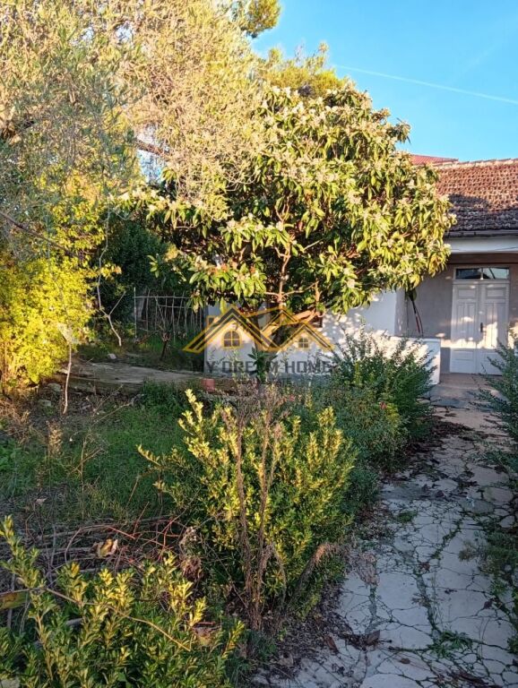 Shitet, Shtepi Private, Sukth, Durres. Per Rikostruksion