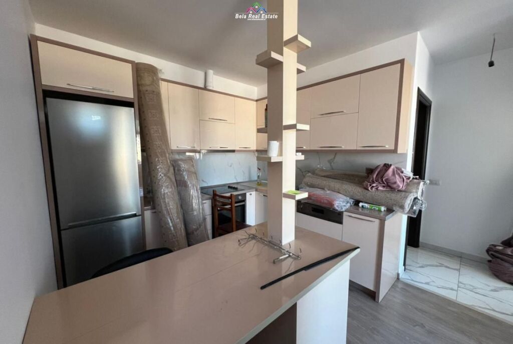 Appartamento In Affitto 1+1 A Vasil Shanto (ID B2101675) Tirana