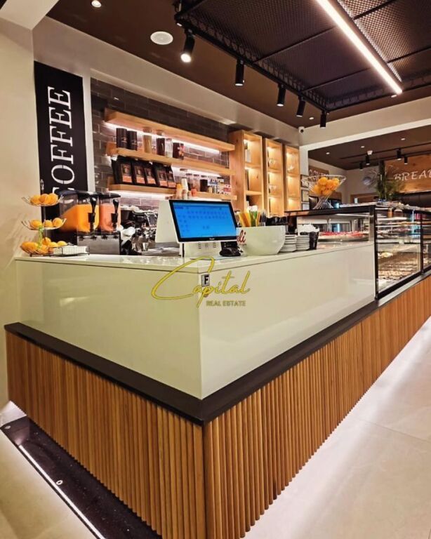 AMBIENT BIZNESI ME QIRA 224 M2 ISH PARKU 3.500 EURO