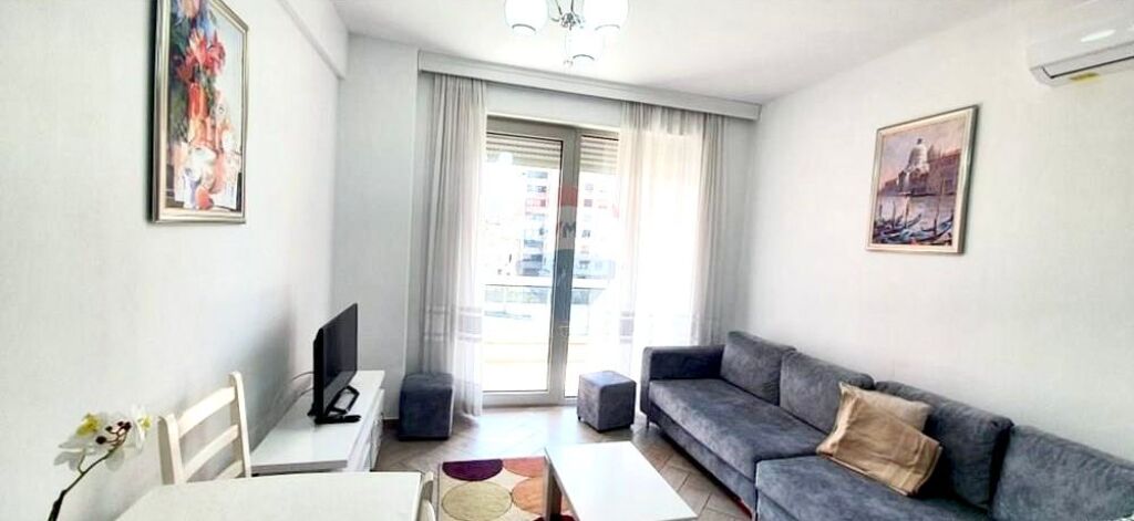 Apartment for rent 1+1, Zogu i zi