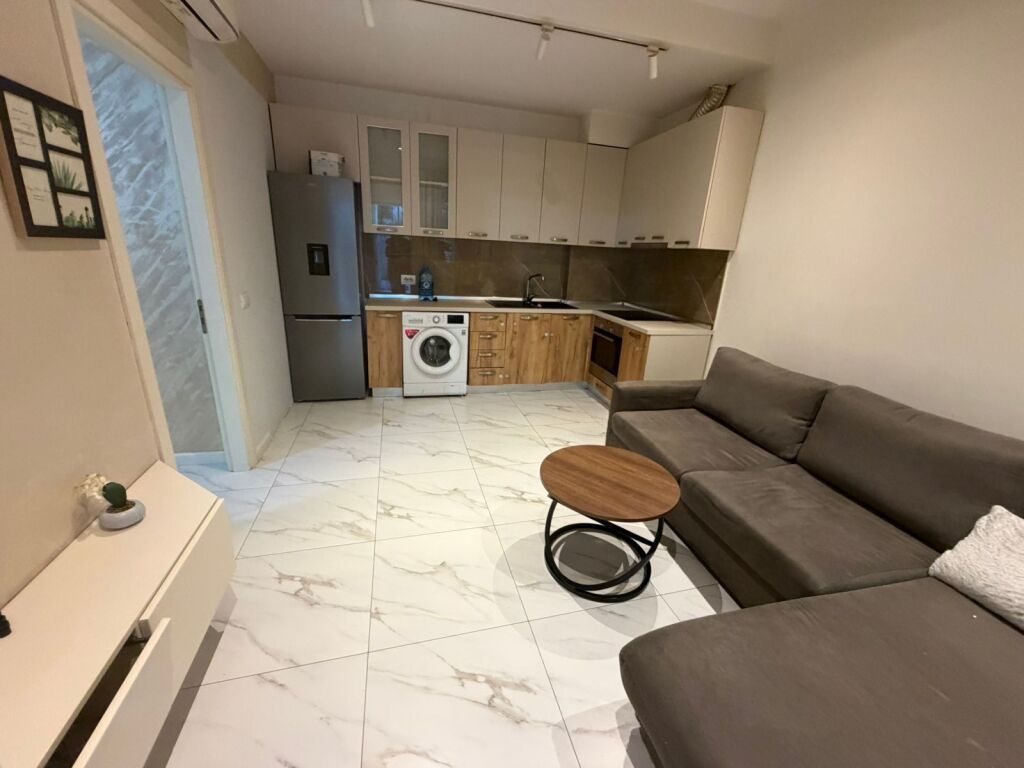 Appartamento 1+1 in affitto a Liqeni i Thate