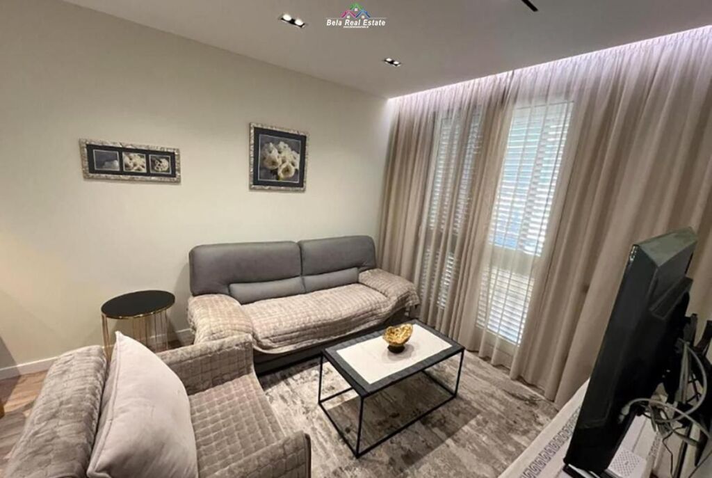Appartamento In Affitto 1+1 In Centro (ID B2101492) Tirana
