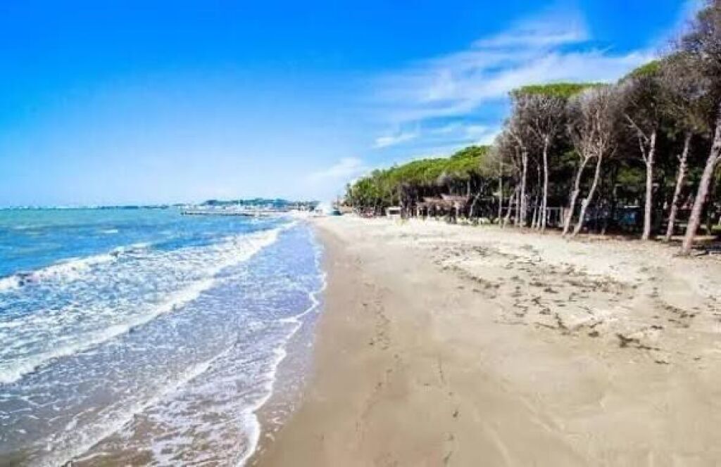 Appartamento in vendita 1+1 a Mali i Robit