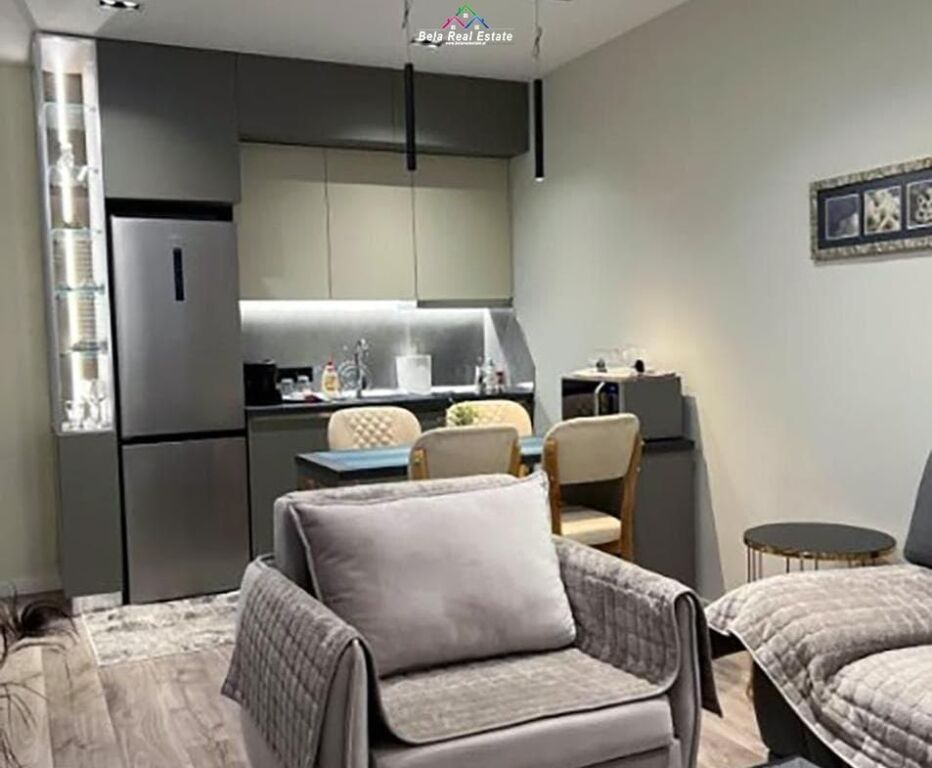 Appartamento In Affitto 1+1 In Centro (ID B2101492) Tirana