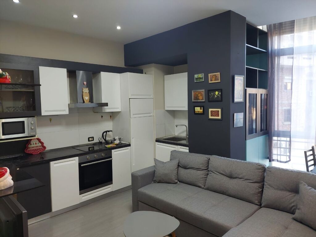 Apartment 1+1 for rent above the Artistic High School