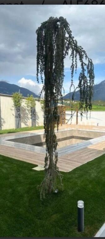 Rent, 2-storey Villa + Pool + Kalçeto, Paskuqan