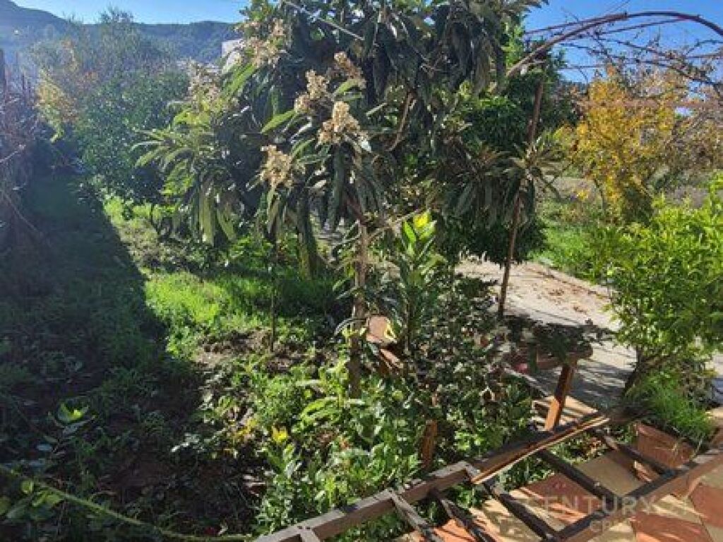 PRIVATE HOUSE WITH YARD FOR SALE IN VORE