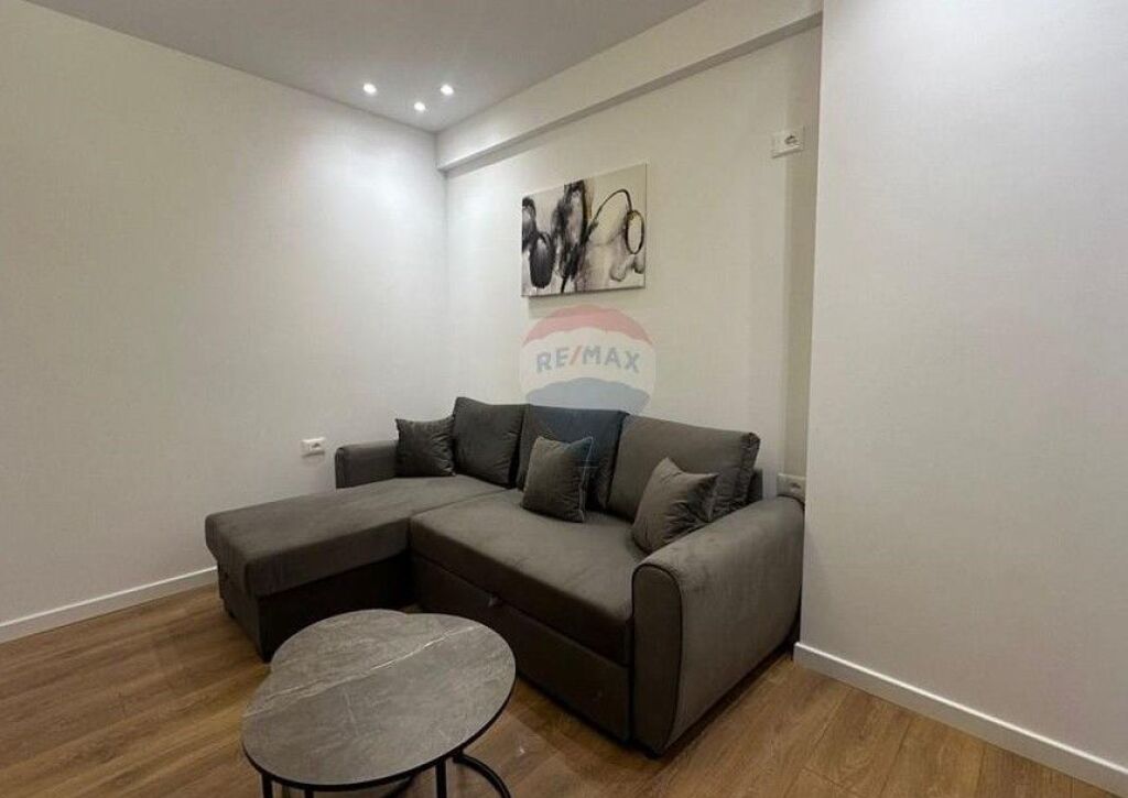 SHITET, APARTAMENT 1+1, KOMUNA E PARISIT, TIRANE  ID: 530581011-14