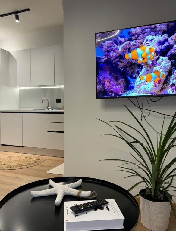 🏖️ MONOLOCALE INVESTITO IN VENDITA – Golem