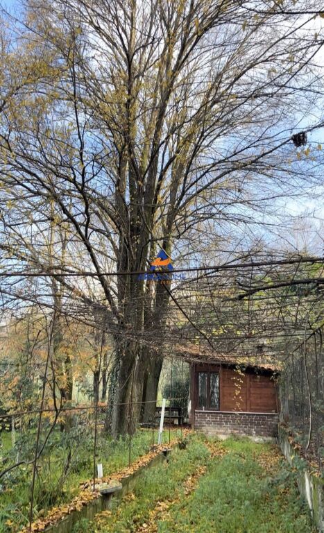 TERRENO IN VENDITA 2000 M2 "PRUSH" 260.000 EURO