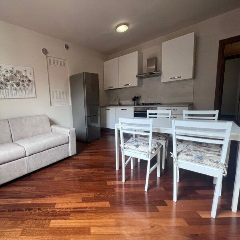 Myslym Shyri intersection, modern 1+1+Blk apartment for rent.