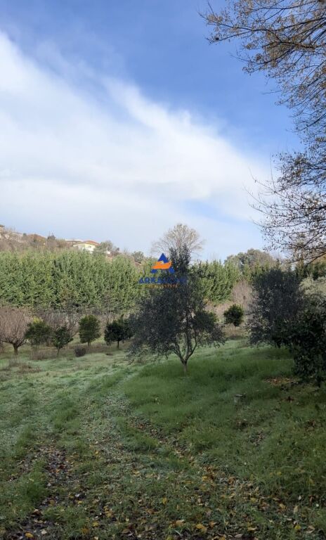 TERRENO IN VENDITA 2000 M2 "PRUSH" 260.000 EURO