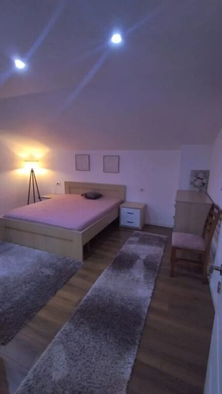 Apartment 1+1 at Globe for rent