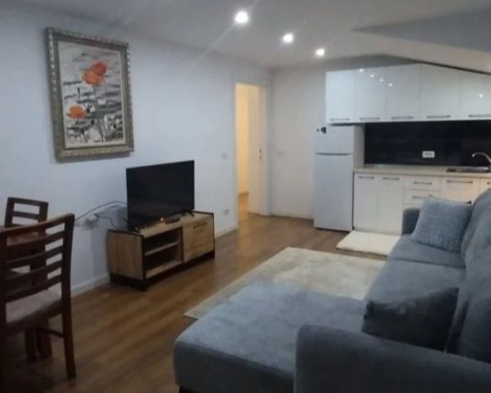 Apartment 1+1 at Globe for rent