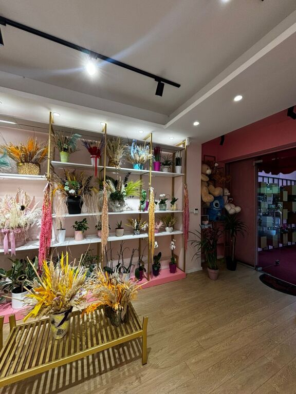 💐✨ FLOWER BUSINESS FOR SALE IN TIRANA ✨💐
