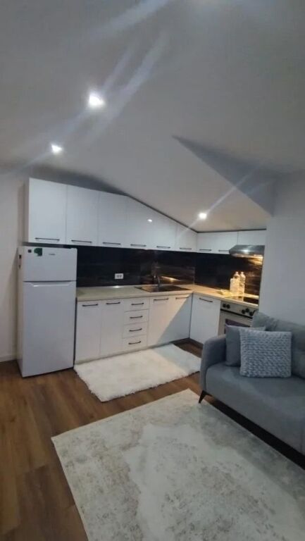 Apartment 1+1 at Globe for rent