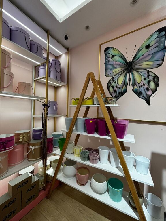 💐✨ FLOWER BUSINESS FOR SALE IN TIRANA ✨💐
