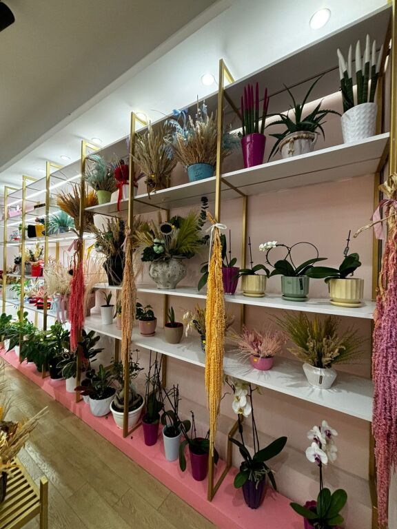 💐✨ FLOWER BUSINESS FOR SALE IN TIRANA ✨💐